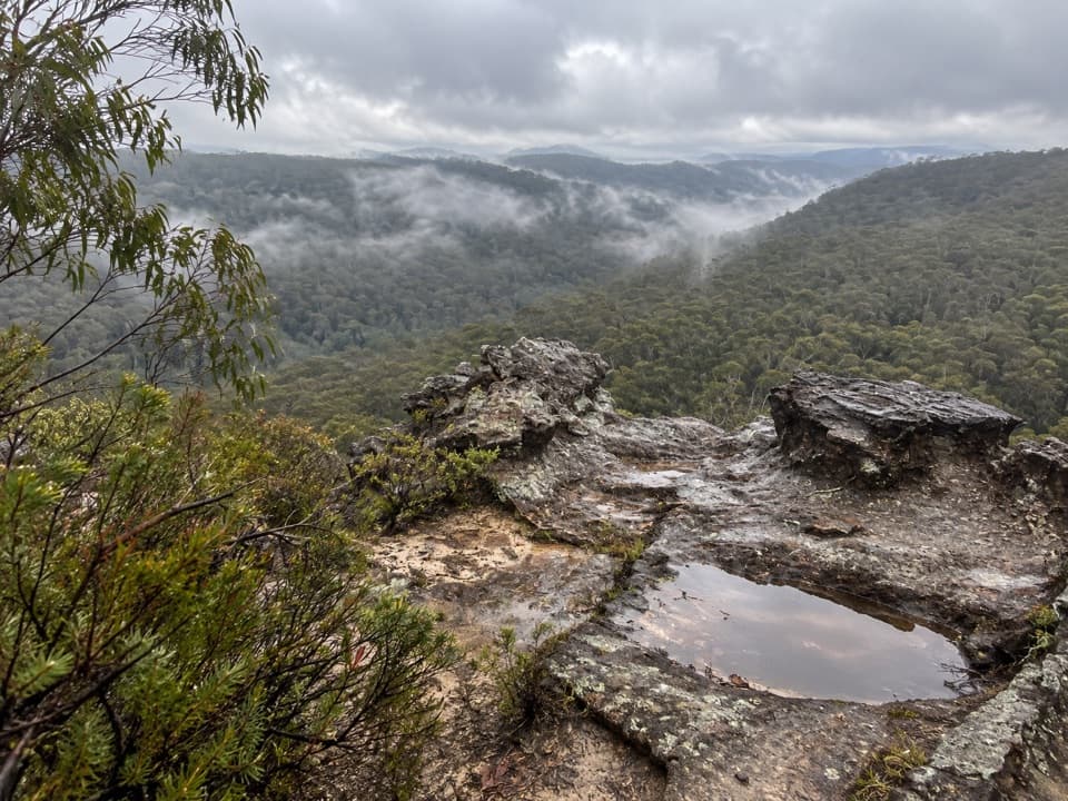 Linden Ridge Firetrail in Blue Mountains National Park