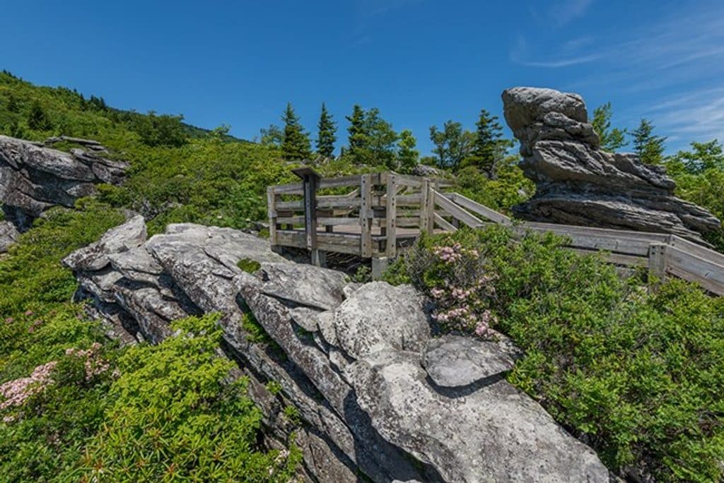 Rough Ridge Trail in Blue Ridge Parkway