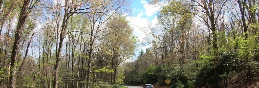 Gully Creek Trail in Blue Ridge Parkway