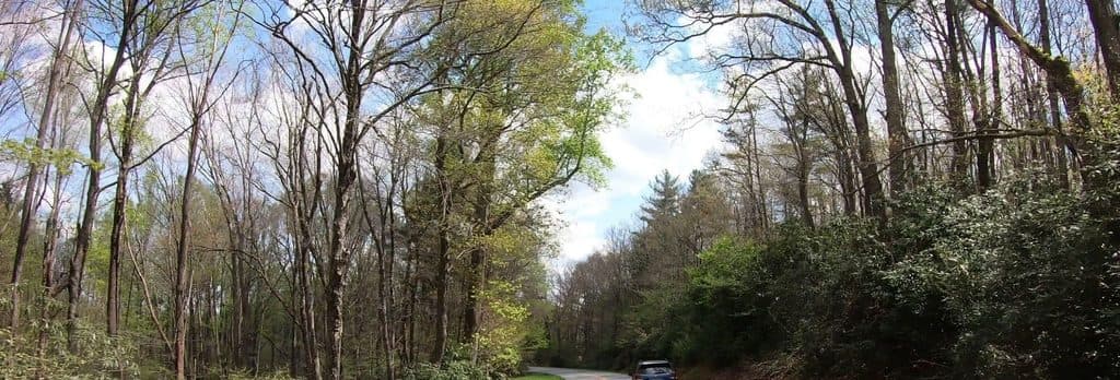 Cumberland Knob Loop Trail in Blue Ridge Parkway