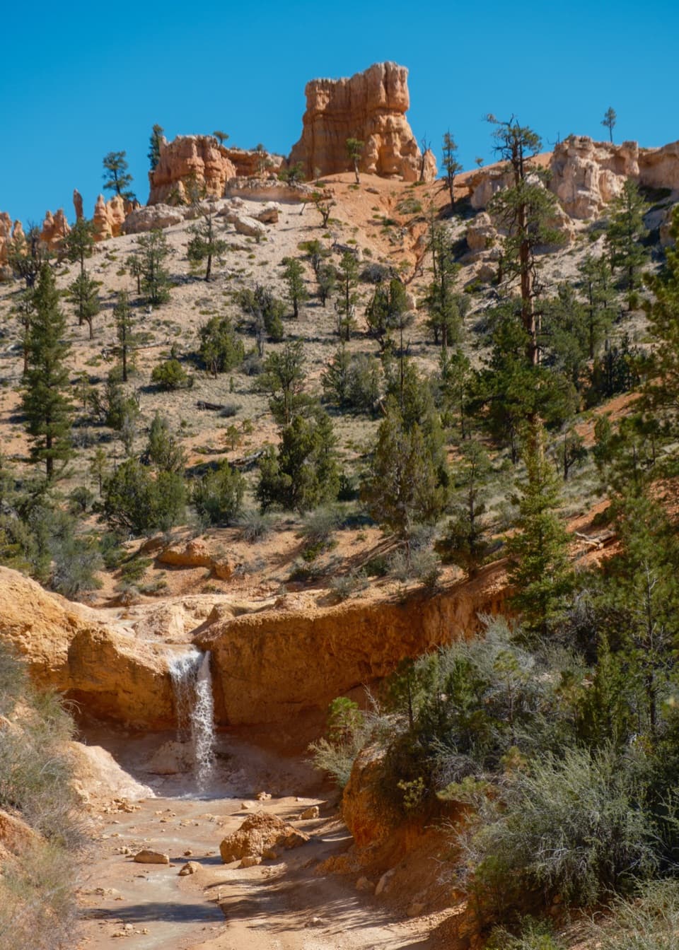 Mossy Cave Trail in Bryce Canyon National Park
