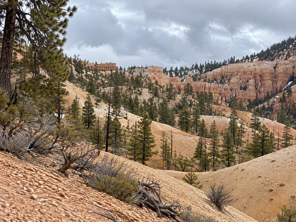 Tropic Trail in Bryce Canyon National Park