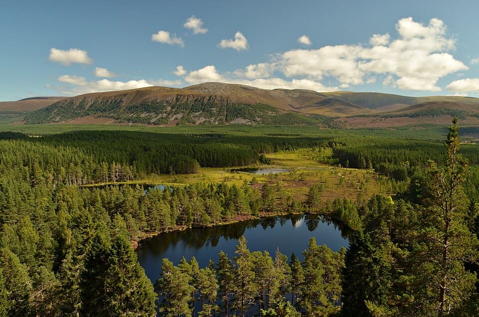 Farleitter Crag Trail in Cairngorms National Park