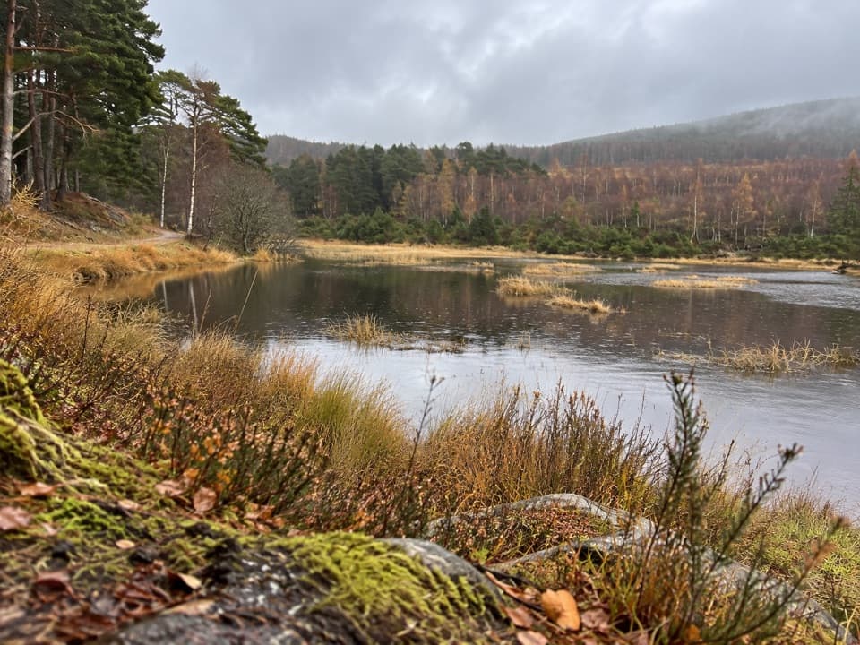 Fairy Lochan Path in Cairngorms National Park