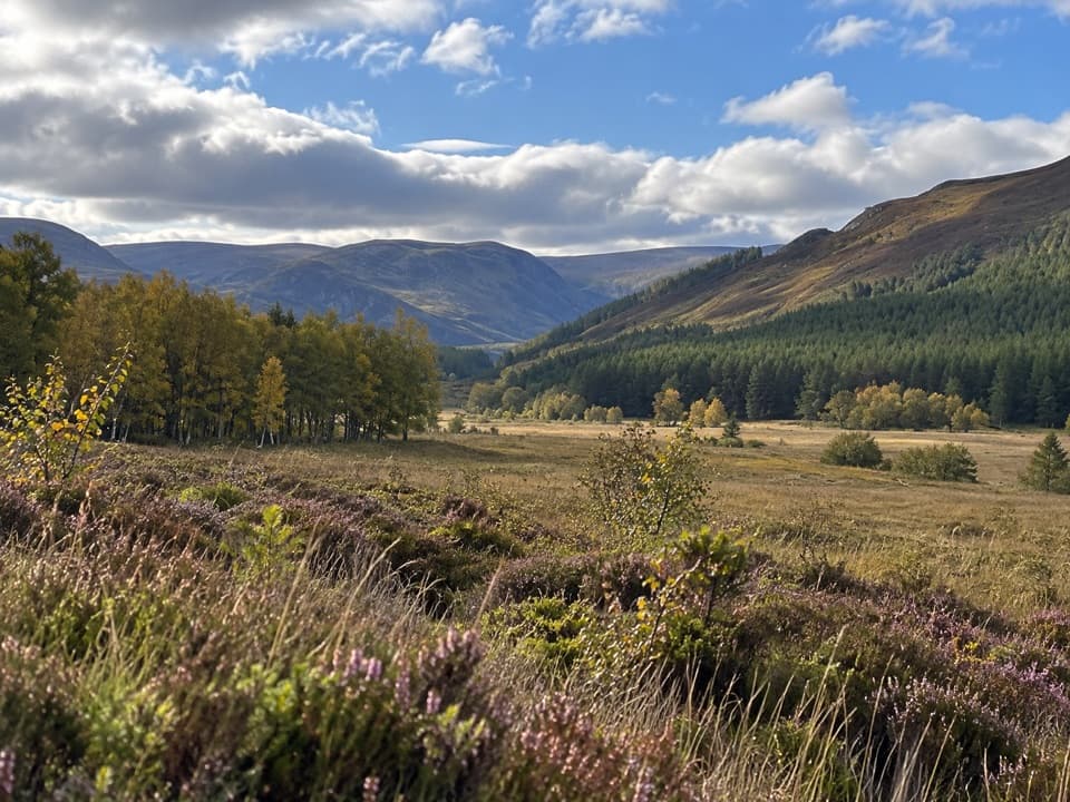 Upper Glen Feshie and Ruigh Aiteachain Trail in Cairngorms National Park