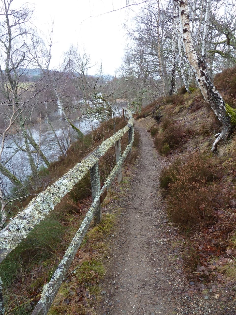 Riverside Walk, Kincraig in Cairngorms National Park