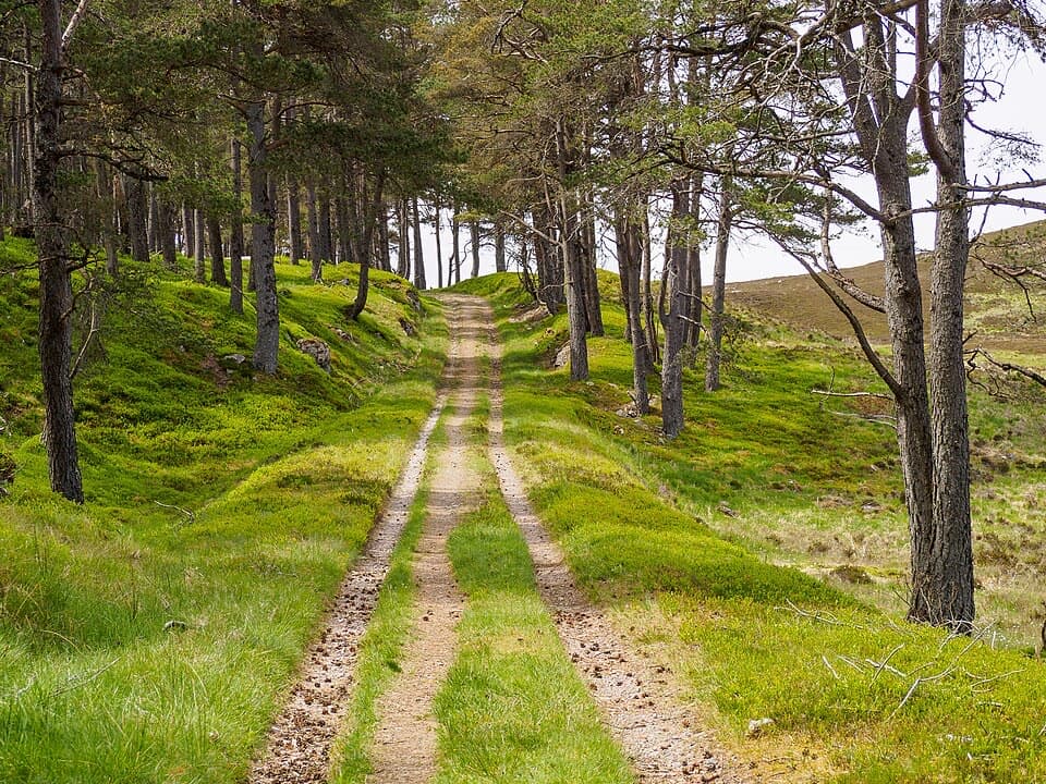 Comyn’s Road in Cairngorms National Park