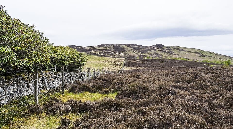 Tulach Viewpoint Walk in Cairngorms National Park