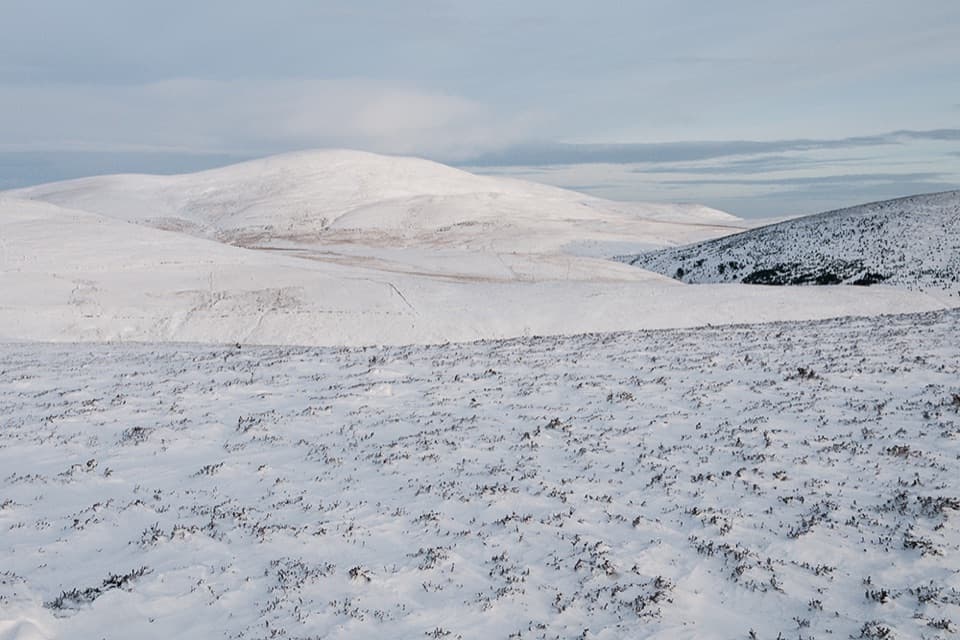 Sgòr Buidhe Circuit, Ballater in Cairngorms National Park