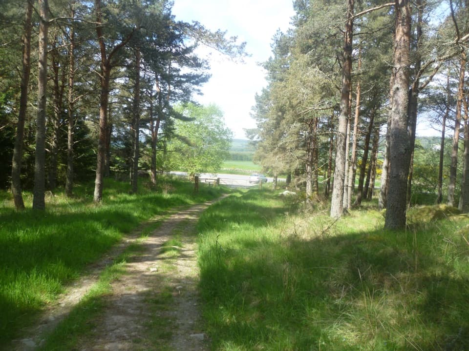Craigmore Trail in Cairngorms National Park