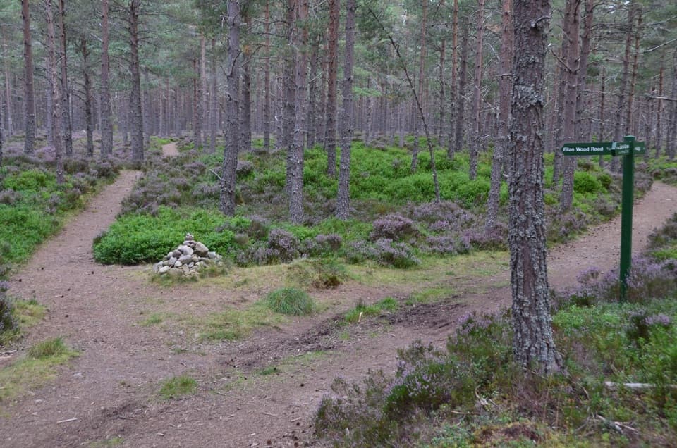 Docharn Woods Circuit in Cairngorms National Park
