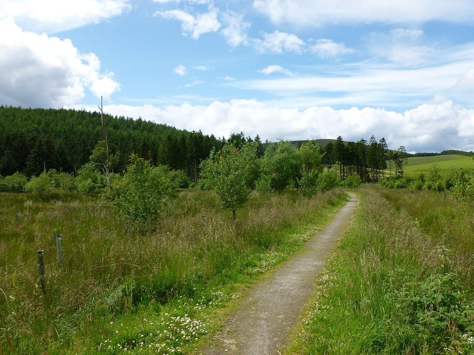 Roughpark Path in Cairngorms National Park