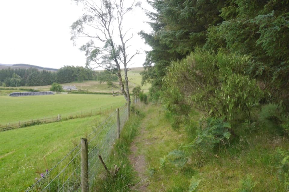 Carn Daimh Circuit from Clash Woods in Cairngorms National Park