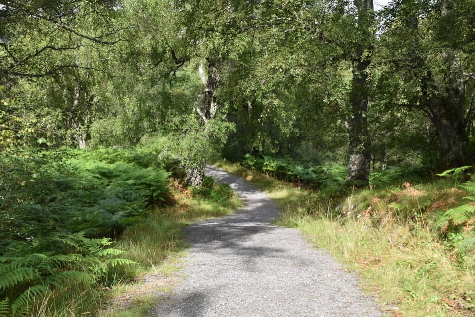 Speyside Way North Loop, Kincraig in Cairngorms National Park