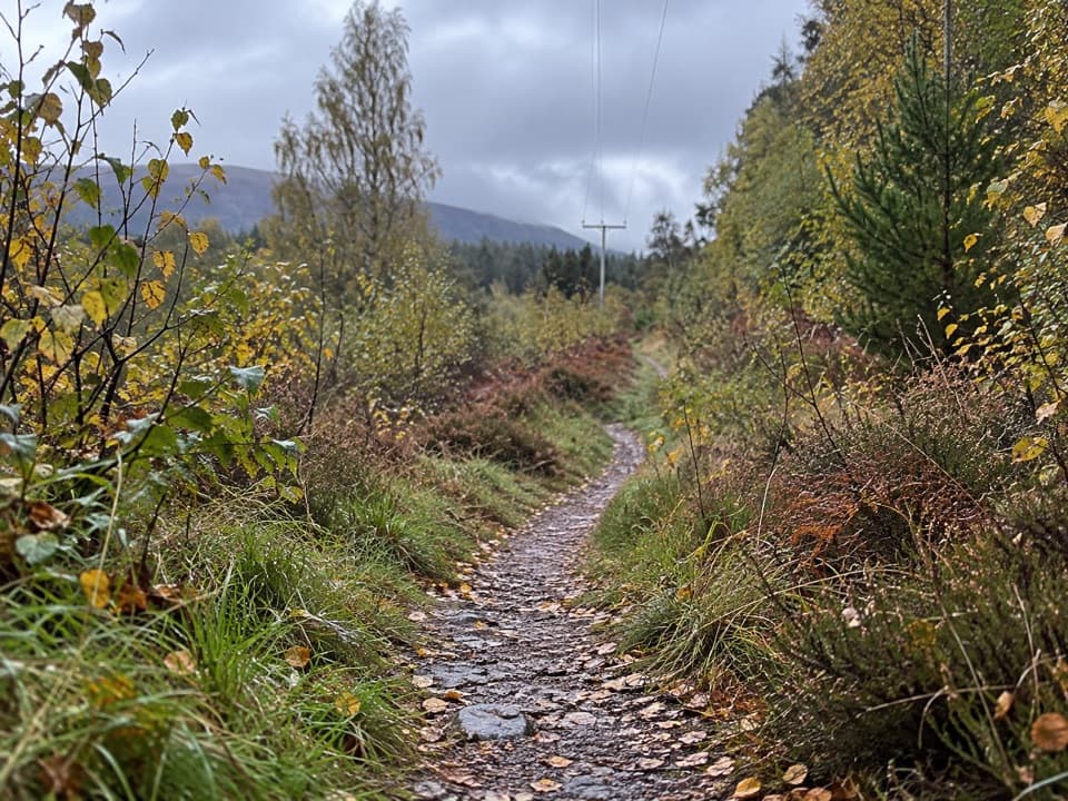 Feshiebruach Trail in Cairngorms National Park