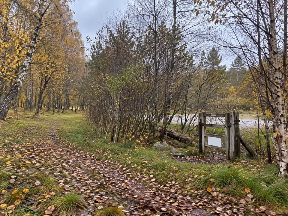 Lochside Loop, Kincraig in Cairngorms National Park