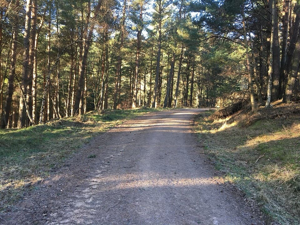 Clash Wood Path in Cairngorms National Park