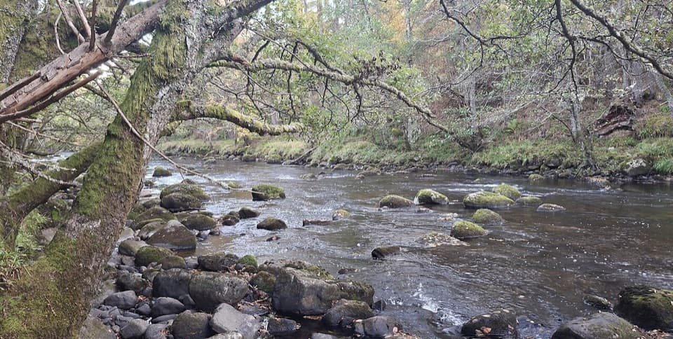 Riverside Path, Dulnain Bridge in Cairngorms National Park