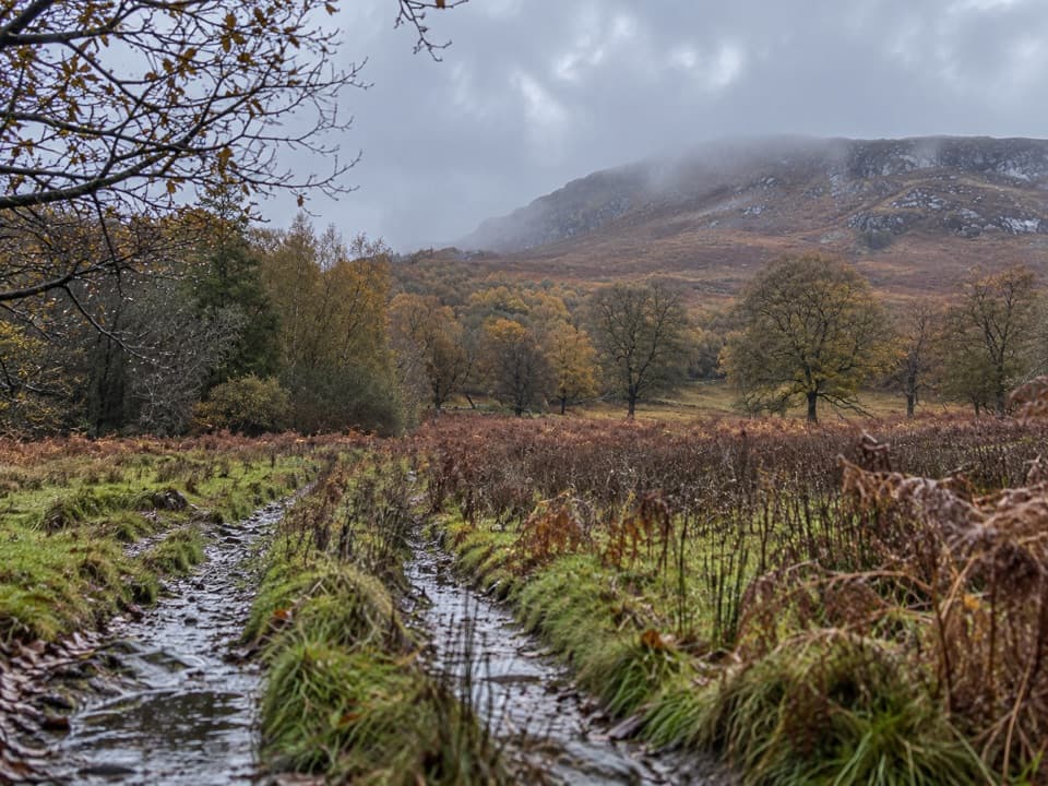 Allt Mhoraich Circuit in Cairngorms National Park