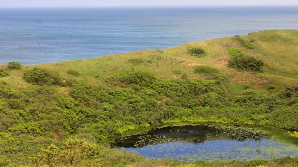 Higgins Hollow Loop in Cape Cod National Seashore