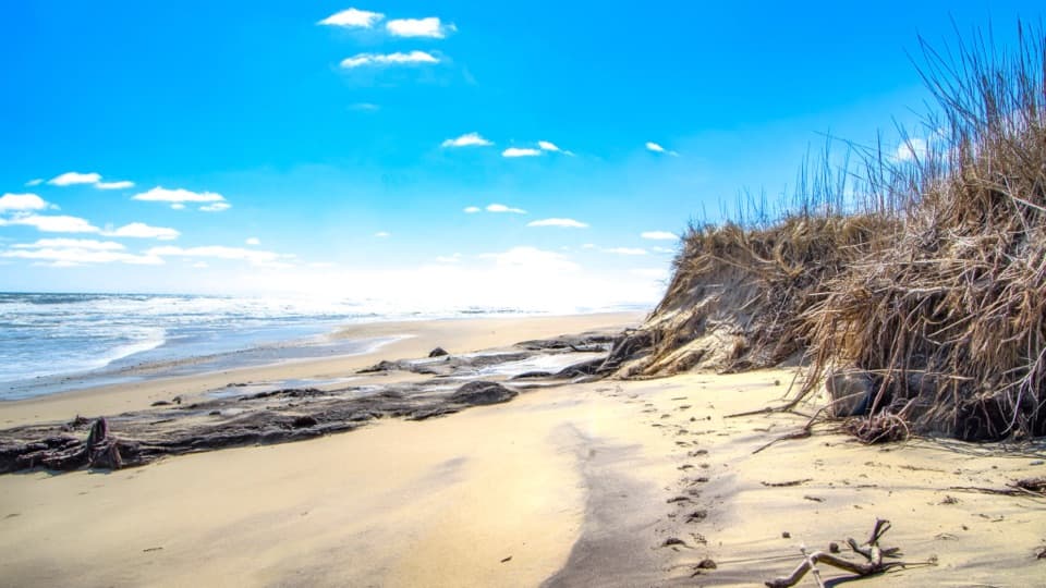 Coast Guard Beach Trail in Cape Cod National Seashore