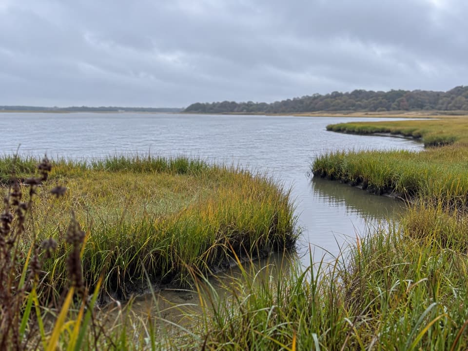 Nauset Bike Trail in Cape Cod National Seashore