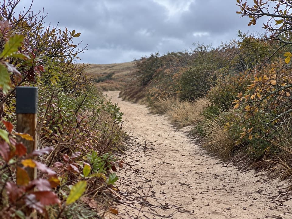 High Head Road Trail in Cape Cod National Seashore