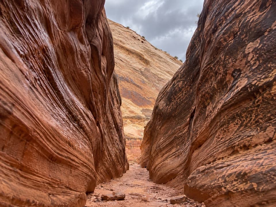 Sheets Gulch in Capitol Reef National Park