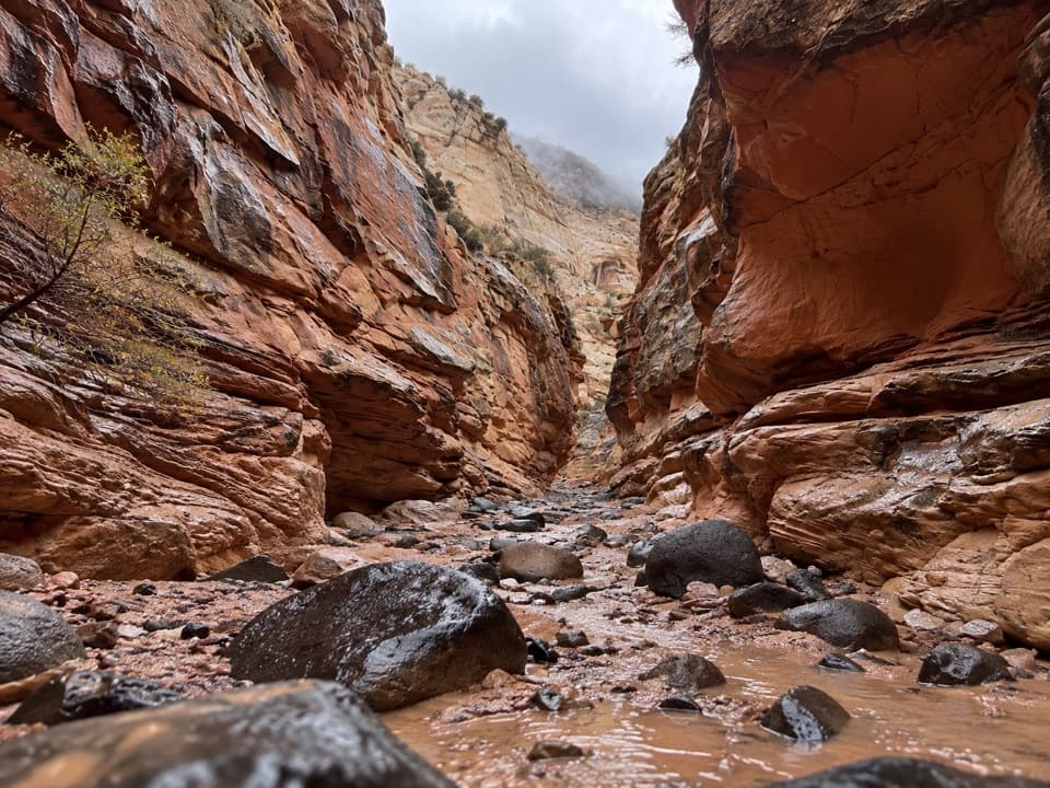 Upper Spring Canyon in Capitol Reef National Park