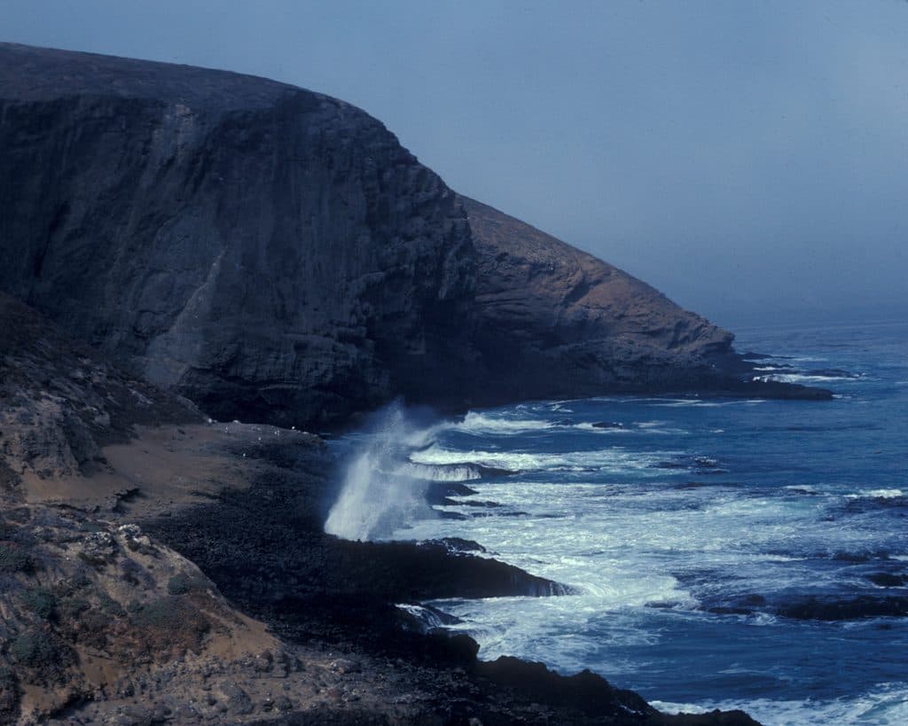 Sea Lion Rookery Trail in Channel Islands National Park