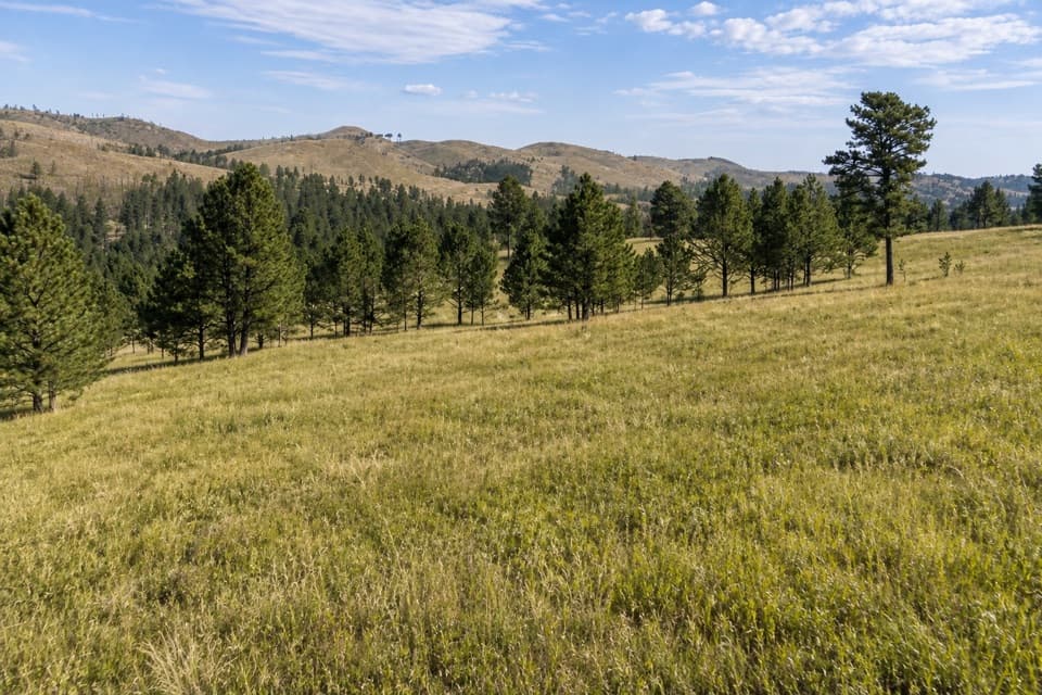 Parker Canyon Loop in Custer State Park