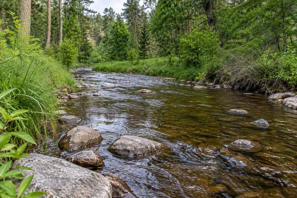 Calkins Draw Trail in Custer State Park