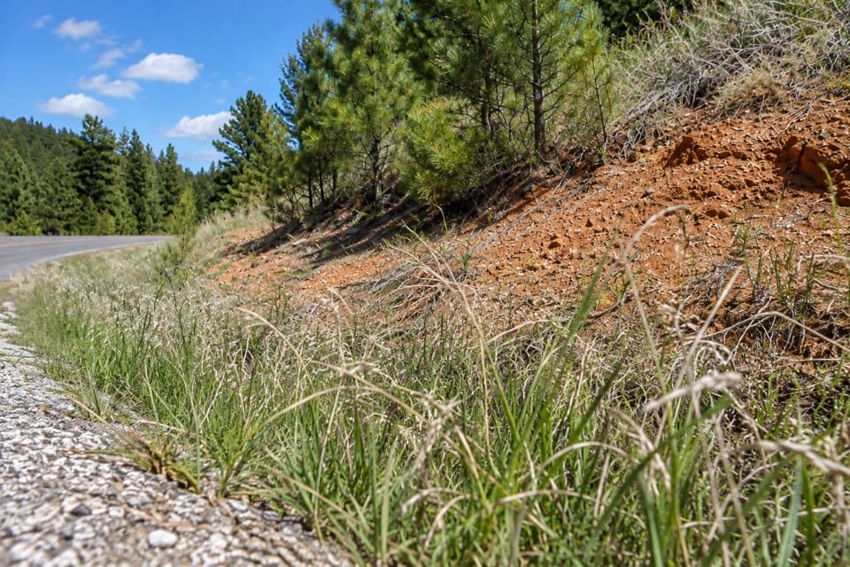 Devil Dog Trail in Custer State Park