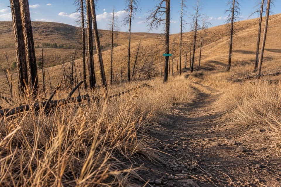 Robber's Roost Trail in Custer State Park