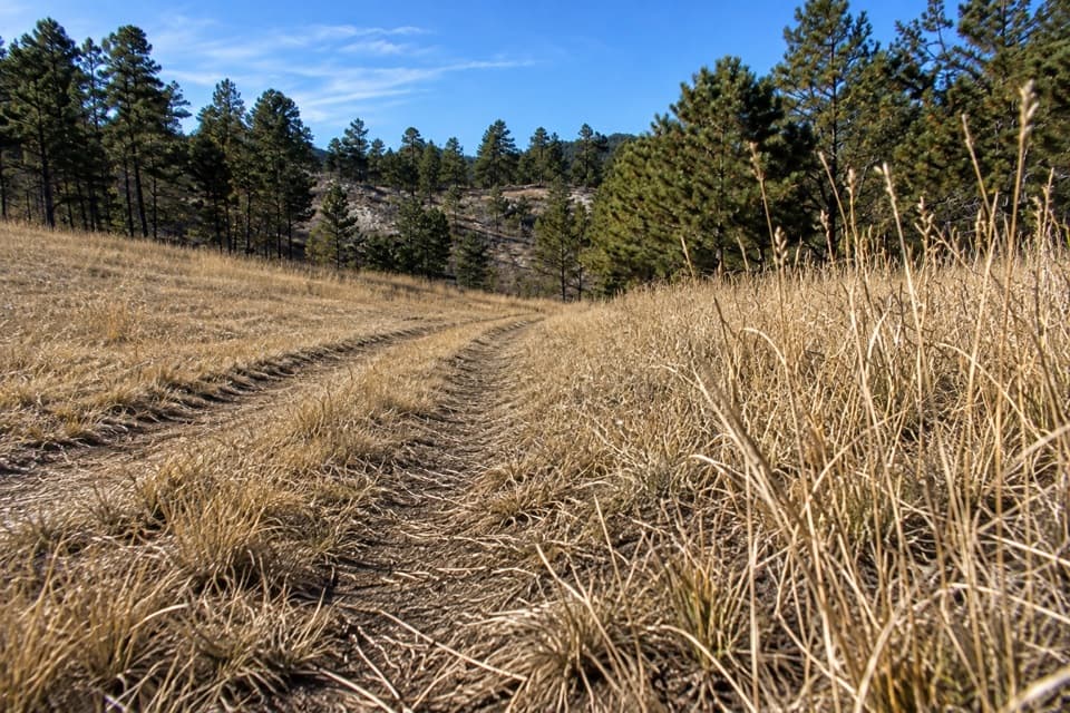 Barnes Canyon Trail in Custer State Park