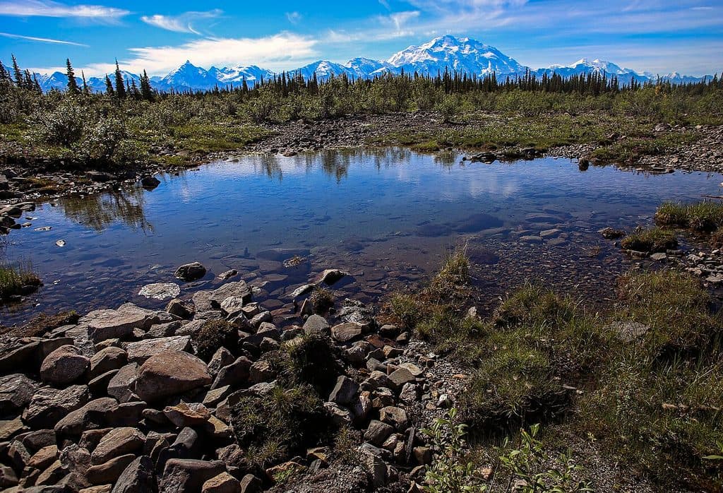 McKinley River Bar Trail in Denali National Park
