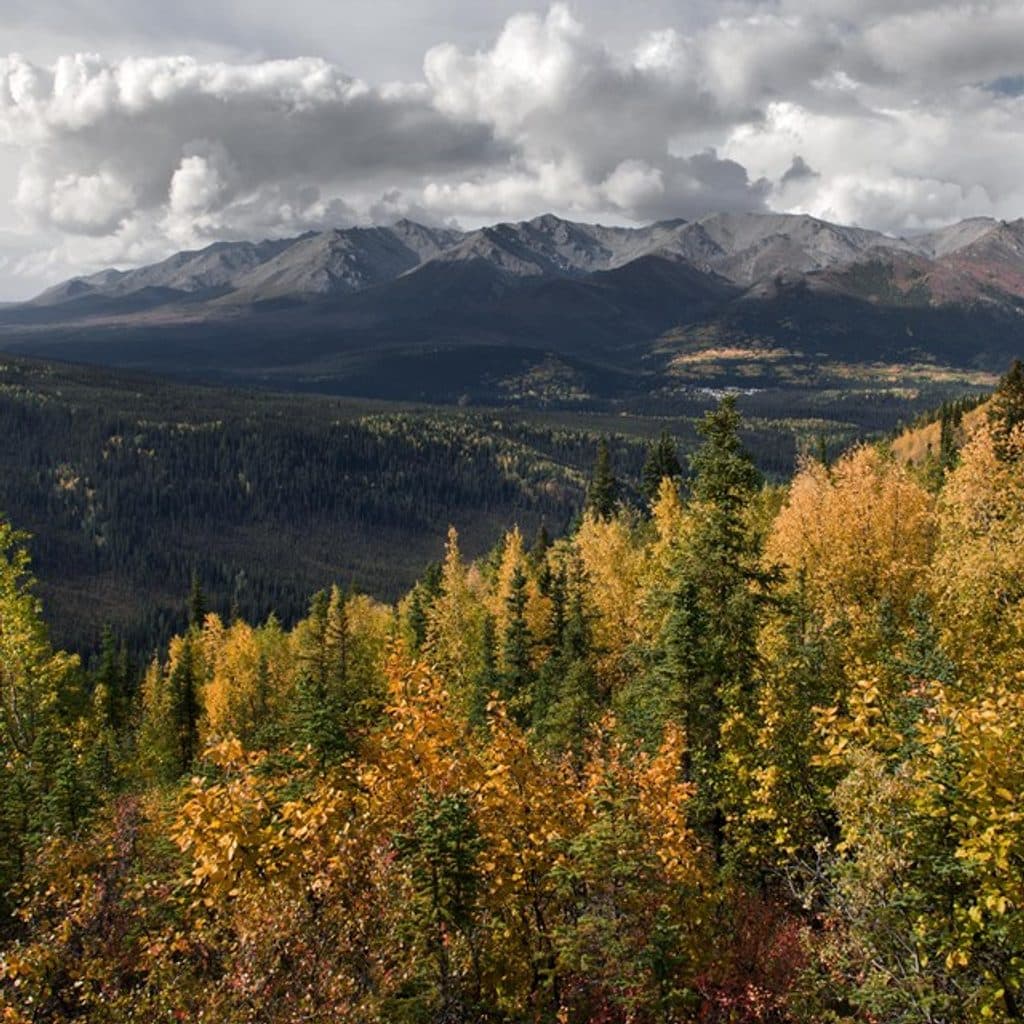 Mount Healy Overlook Trail in Denali National Park