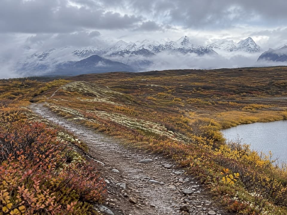 Maclaren Summit Trail in Denali Highway