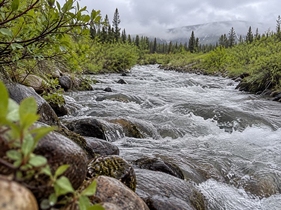 Seattle Creek Trail in Denali Highway