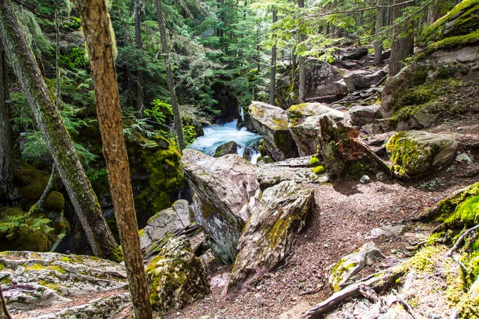 Avalanche Lake Trail in Glacier National Park