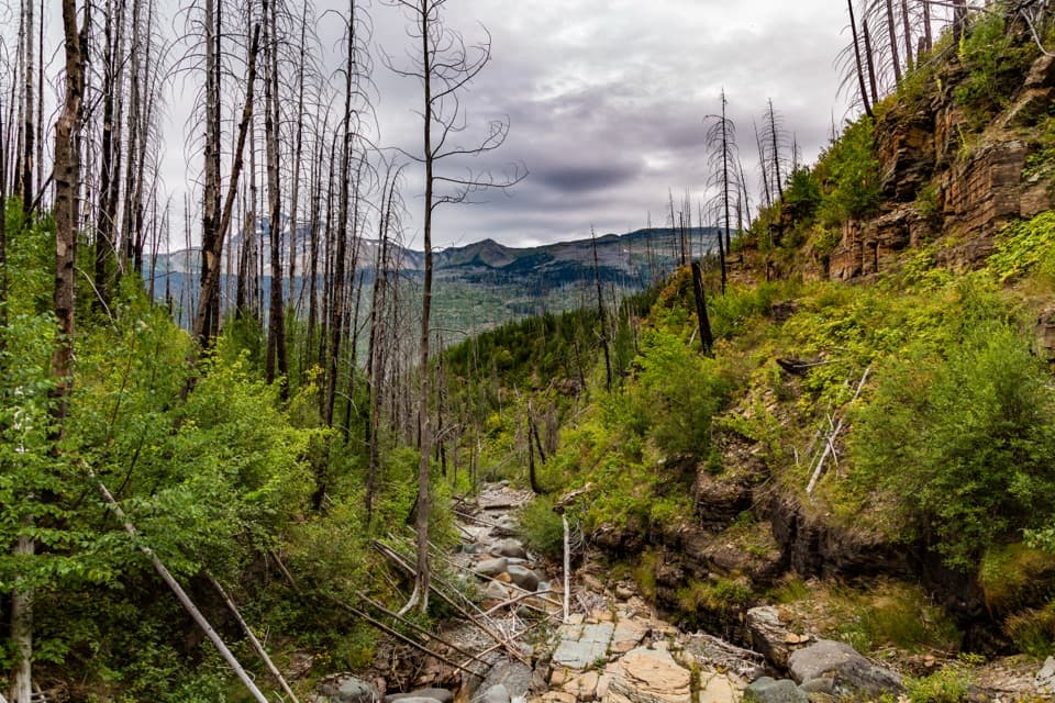 Granite Park Trail from The Loop in Glacier National Park