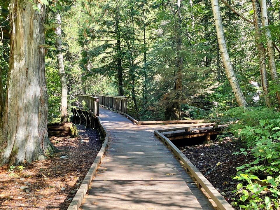 Trail of the Cedars in Glacier National Park