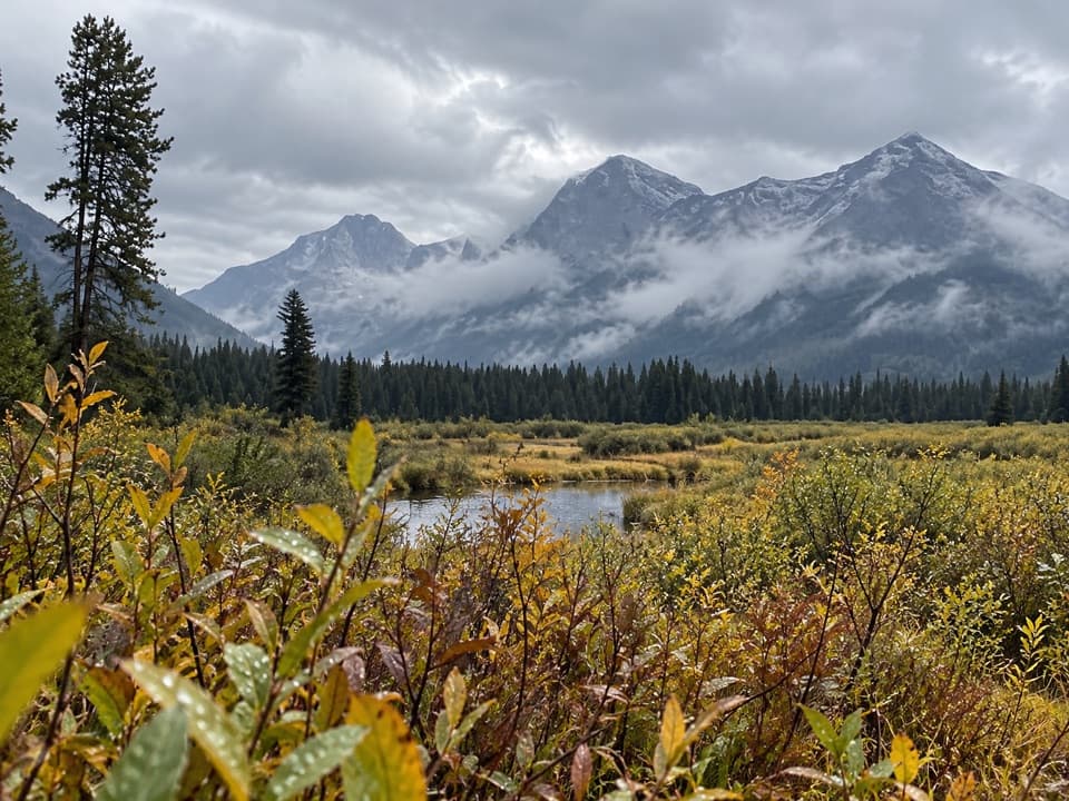 Rogers Meadow Trail in Glacier National Park