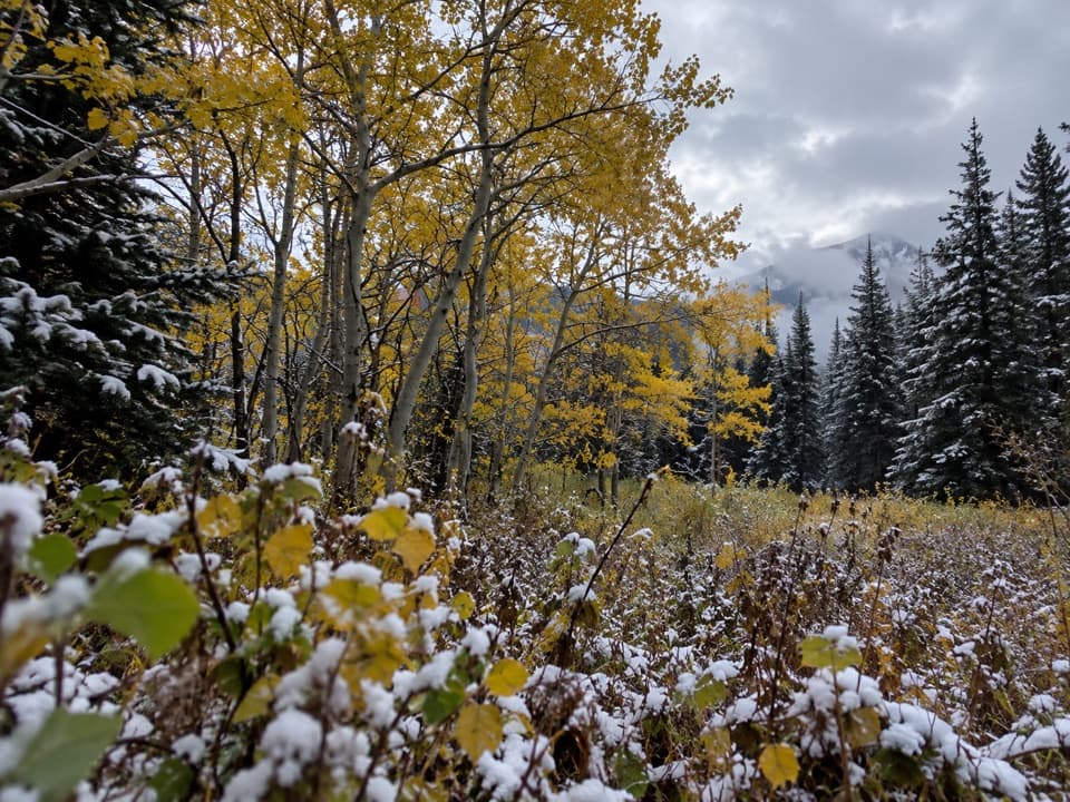 Sherburne Boundary Trail in Glacier National Park