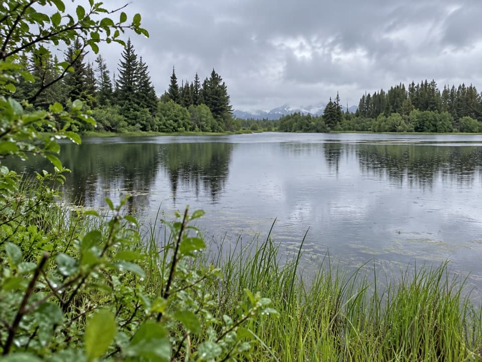 Hidden Meadow Trail in Glacier National Park