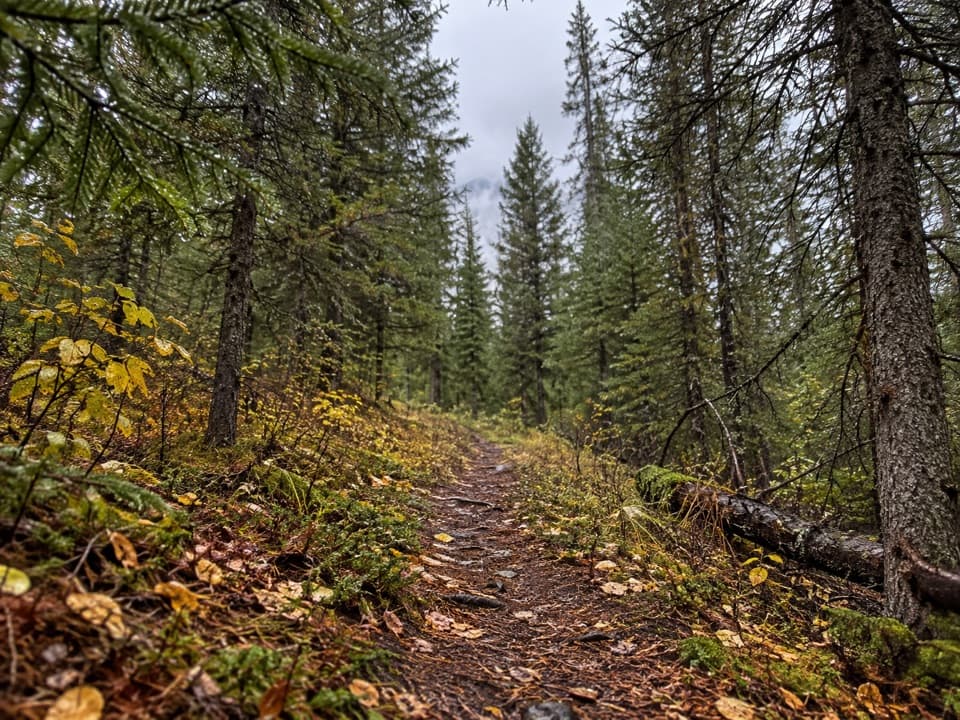 Kishenehn Creek Trail in Glacier National Park
