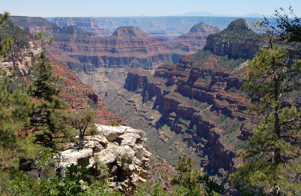 Widforss Trail in Grand Canyon National Park