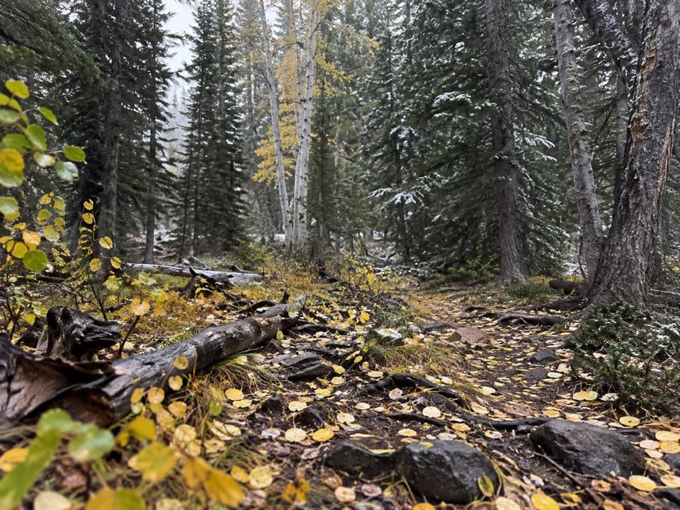 Lower Lehman Trail in Great Basin National Park