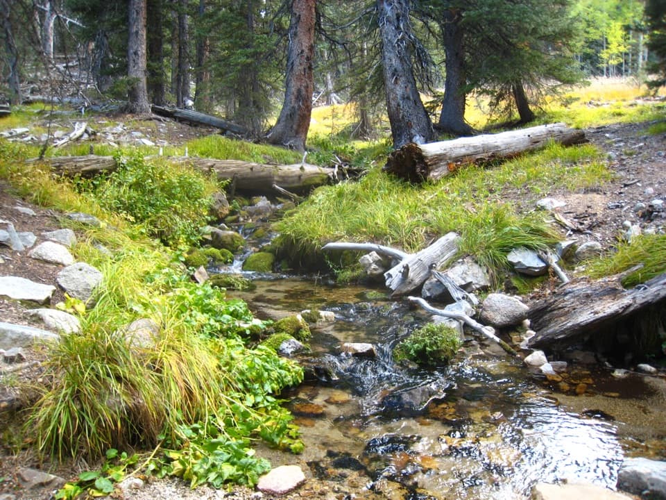 Baker Creek Loop in Great Basin National Park