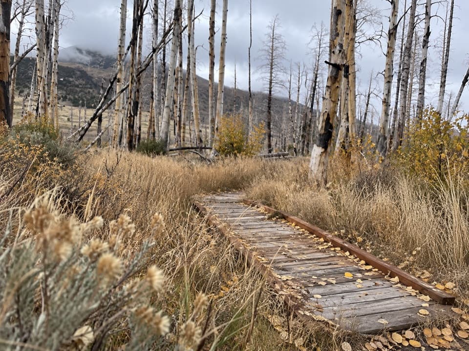 Sage Steppe Loop in Great Basin National Park